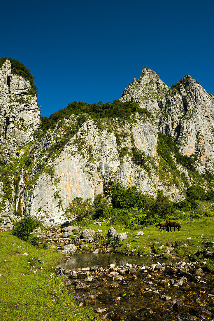 Mountain landscape, Lescun, Pyrénées-Atlantiques department, Nouvelle-Aquitaine region, Pyrenees, France