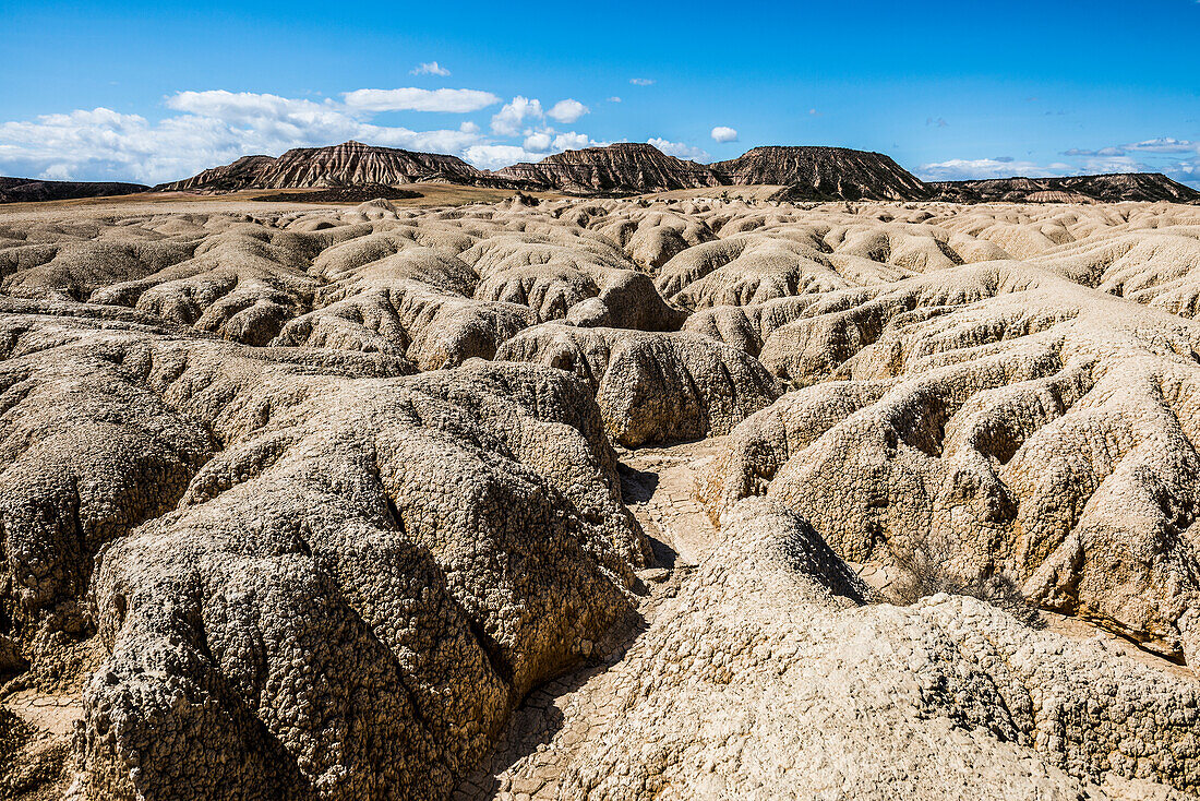 Halbwüste, Bardenas Reales Naturpark, Biosphärenreservat, Navarra, Spanien