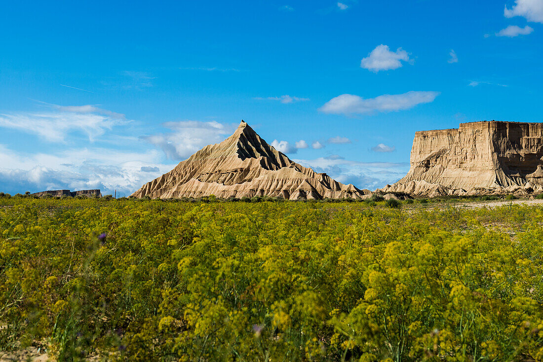 Halbwüste, Bardenas Reales Naturpark, Biosphärenreservat, Navarra, Spanien