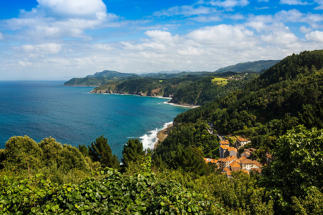 Steilküste, Playa de Laga, Ibarranguelua, bei Bilbao, Provinz Bizkaia, Baskenland, Nordspanien, Spanien