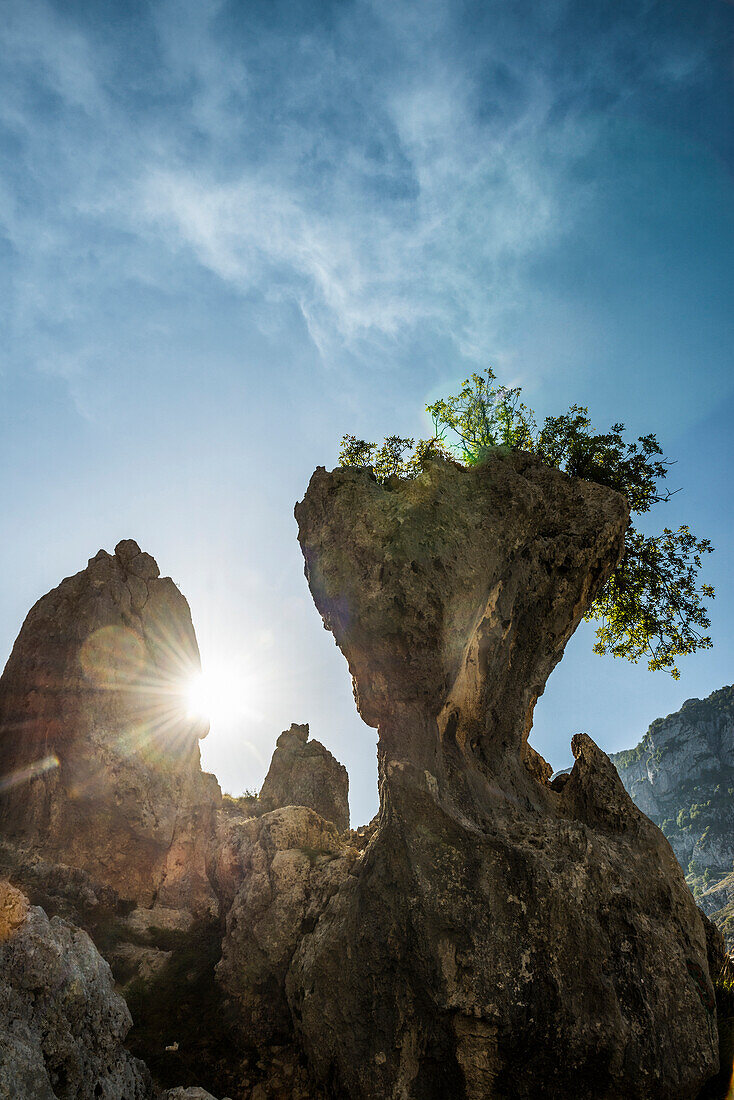 Felsformationen am Wanderweg durch die Cares Schlucht Ruta del Cares, Rio Cares, Nationalpark Picos de la Europa, Cain, Asturien, Nordspanien, Spanien