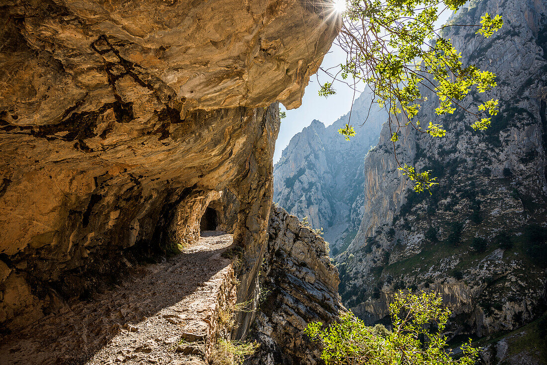 Wanderweg durch die Cares Schlucht Ruta del Cares, Rio Cares, Nationalpark Picos de la Europa, Cain, Asturien, Nordspanien, Spanien