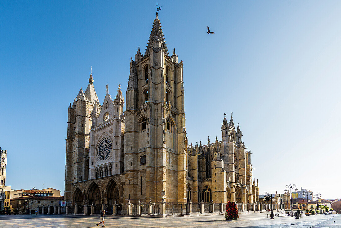 Kathedrale Santa María de Regla, León, Jakobsweg, Kastilien und León, Nordspanien, Spanien