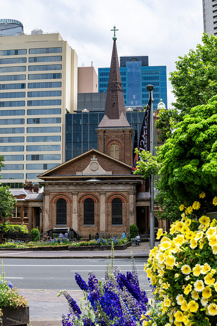 Fkowers in front of St. James Church in Sydney Austeralia