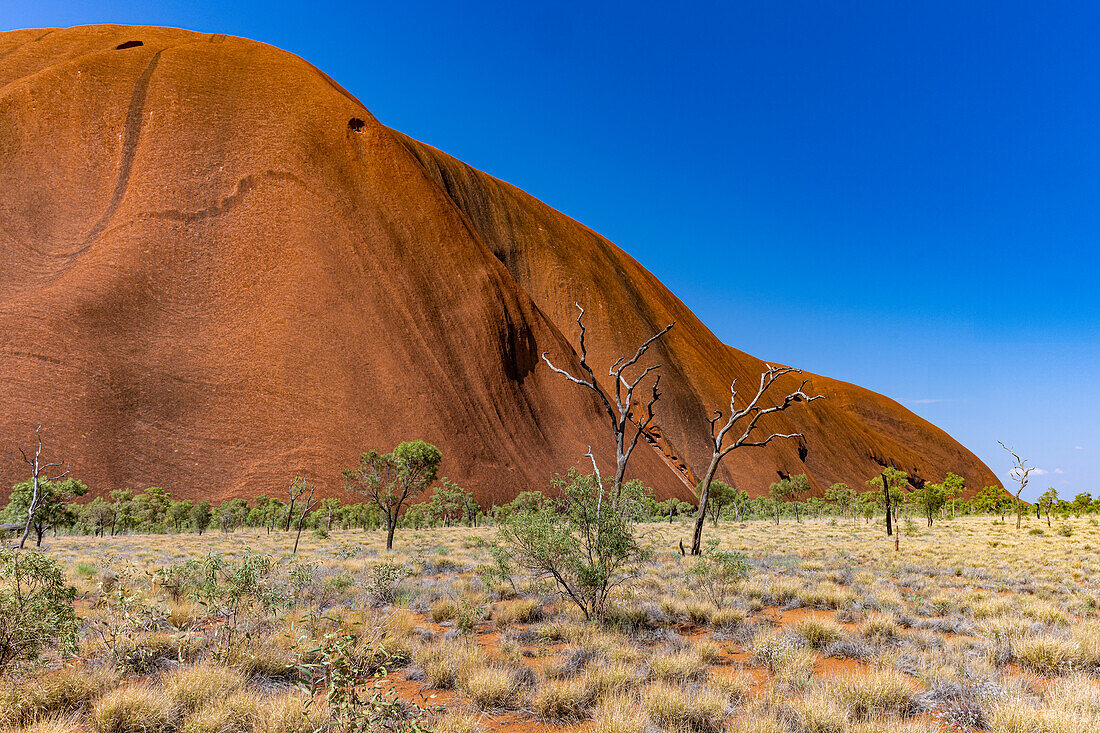 Uluru is sacred to the Pitjantjatjara, the Aboriginal people of the area, known as the Aṉangu. The area around the formation is home to an abundance of springs, waterholes, rock caves and ancient paintings.