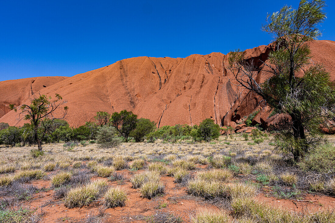 Ayers Rock im Uluru-Kata-Tjuta-Nationalpark, Northern Territory, Australien