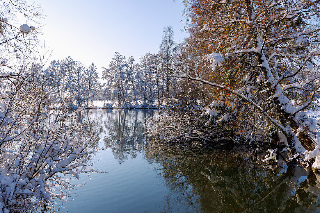 Wiflinger Weiher (Wörther Weiher) landscape protection area, snow landscape and deep snow-covered trees on the lake shore with water reflection in the Sempttal in Erdinger Land in Upper Bavaria in Germany