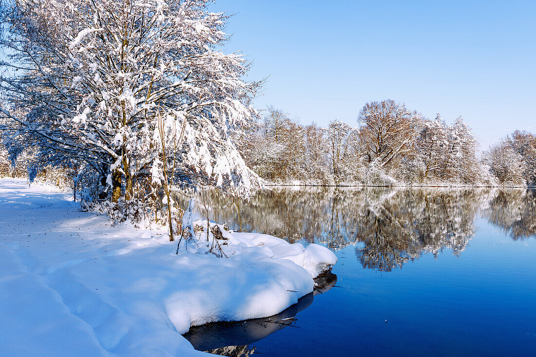 Wiflinger Weiher (Wörther Weiher), Schneelandschaft und tief verschneite Bäume am Seeufer mit Wasserspiegleung im Sempttal im Erdinger Land in Oberbayern in Deutschland