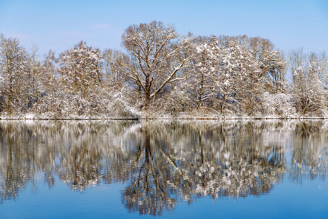 Wiflinger Weiher (Wörther Weiher), snowy landscape and trees covered in deep snow on the lakeshore with water reflection in the Sempttal in Erdinger Land in Upper Bavaria in Germany