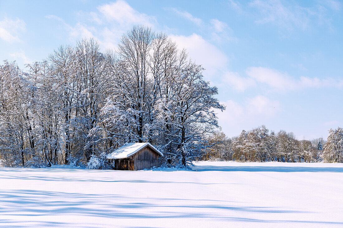 Snowy landscape with a snow-covered meadow, trees and a wooden hut in the forest in the Sempttal in Erdinger Land in Upper Bavaria in Germany