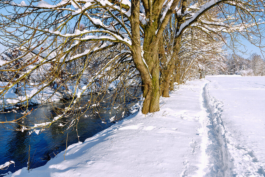 Schneelandschaft mit Trampelpfad und tief verschneiten Bäumen und Ästen am Ufer der Sempt im Sempttal im Erdinger Land in Oberbayern in Deutschland