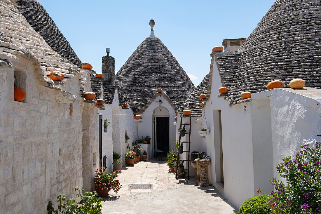 Blick auf die Trulli Häuser mit Kürbis Dekoration, Gemeinde Alberobello, Provinz Bari, Region Apulien, Italien, Europa