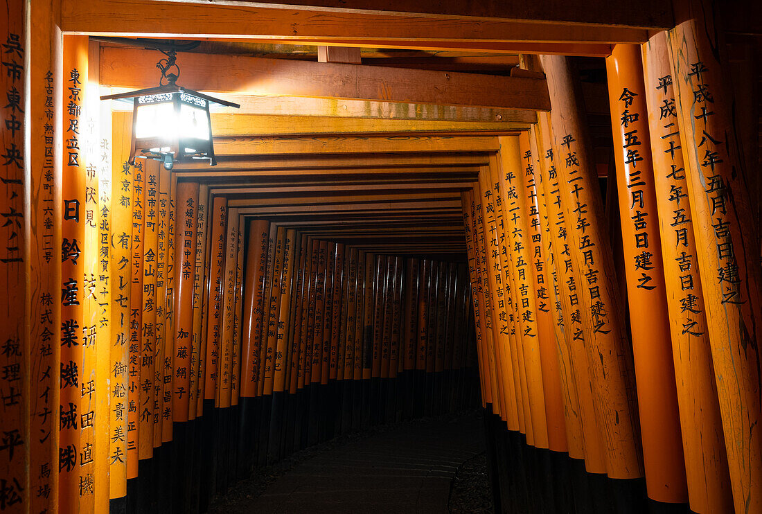 Torii gate at Fushimi Inari Jinja, Shinto shrine, UNESCO World Heritage Site, Kyoto, Honshu, Japan, Asia