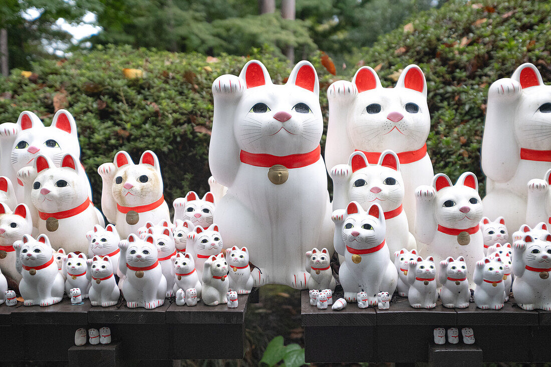 Maneki-neko at the Tama Shrine in the “Cat Temple” Gōtoku-ji Temple, Gotokuji, Tokyo, Japan, Asia