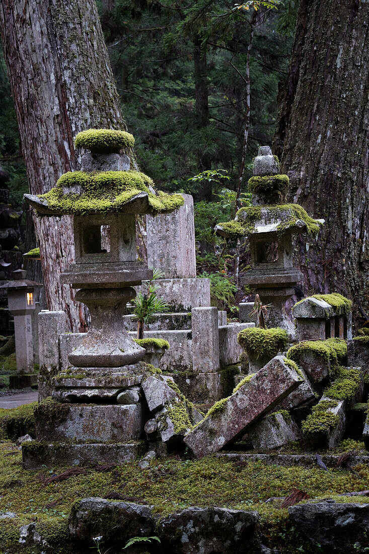 Blick auf vermooste Laternen im Friedhof Okunoin, Okuno-in, Koyasan, Koya, Ito District, Wakayama, Japan
