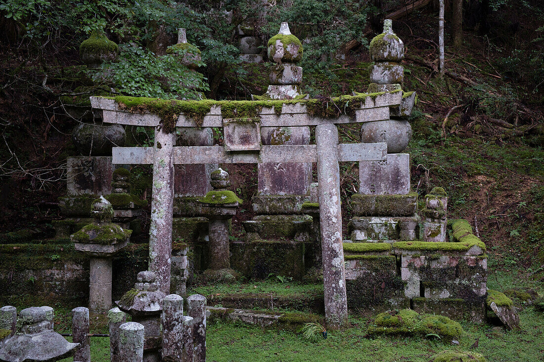 Blick auf ein torii mit Moss im Friedhof Okunoin, Okuno-in, Koyasan, Koya, Ito District, Wakayama, Japan