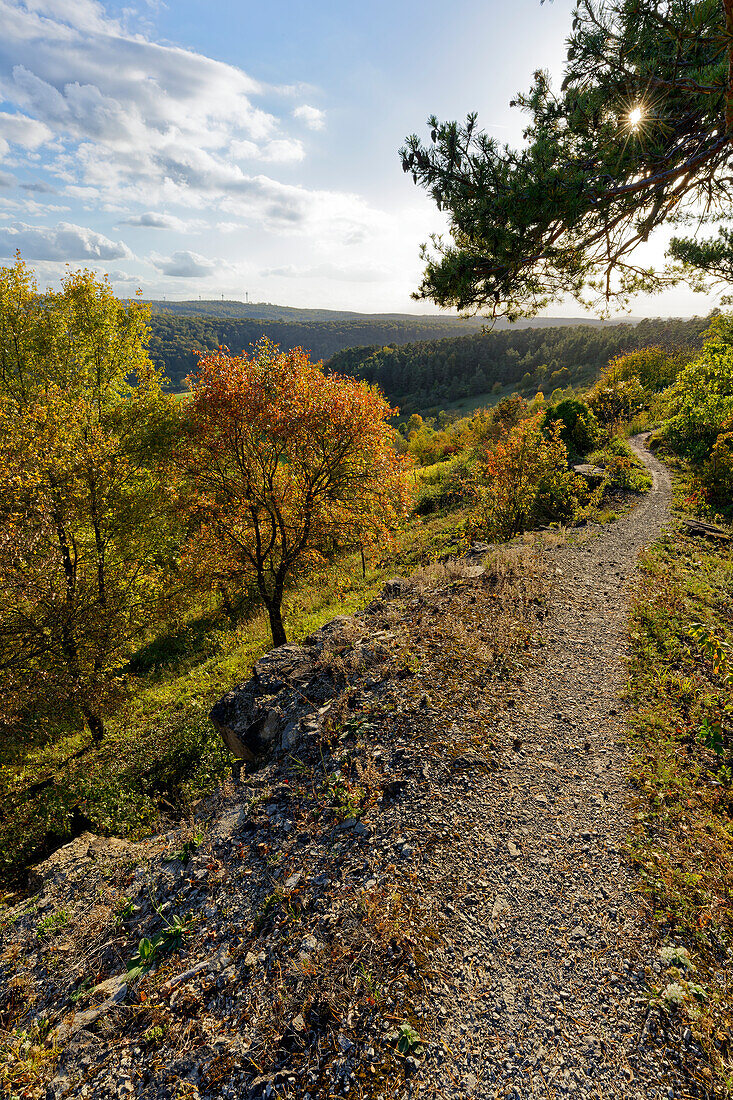 Landscape in the NSG dry areas near Machtilshausen, Bad Kissingen district, Lower Franconia, Franconia, Bavaria, Germany