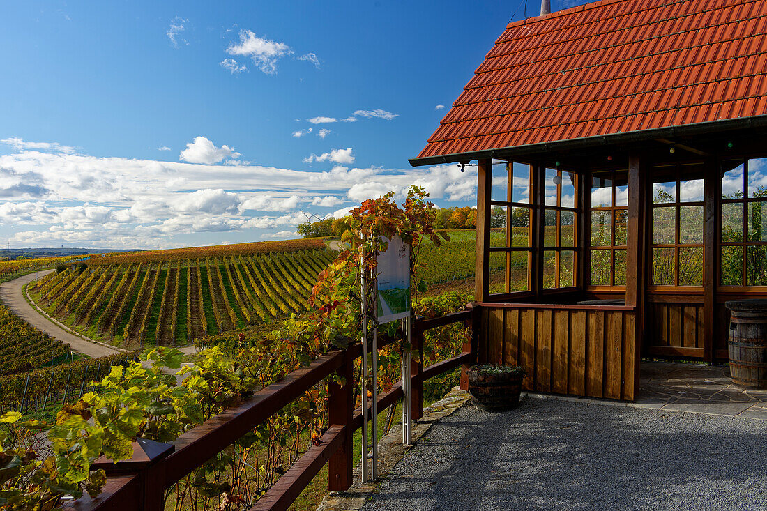 Aussichtspunkt auf die Weinberge bei Wipfeld, Landkreis Schweinfurt, Unterfranken, Franken, Bayern, Deutschland