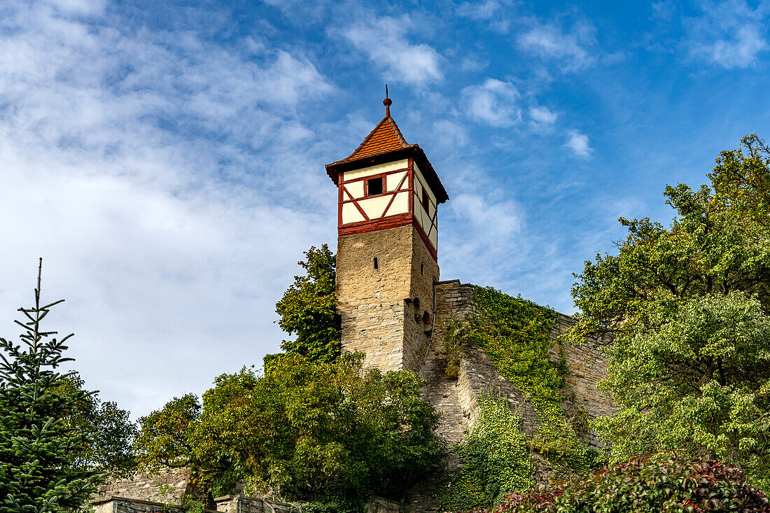 Nuremberg towers on the city wall of Bad Wimpfen seen from the air, Kraichgau, Baden-Württemberg, Germany