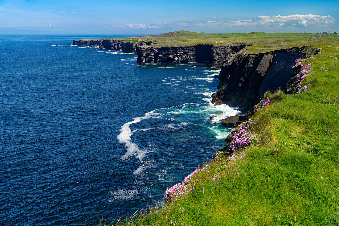 Irland, County Clare, Loophead Lighthouse, Blick auf die Cliffs of Campoy