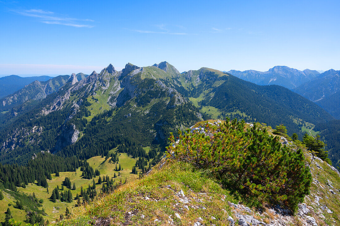 Blick vom Hohen Straußberg auf die Ammergauer Alpen mit dem Geiselstein, Schwangau, Schwaben, Allgäu, Bayern, Deutschland