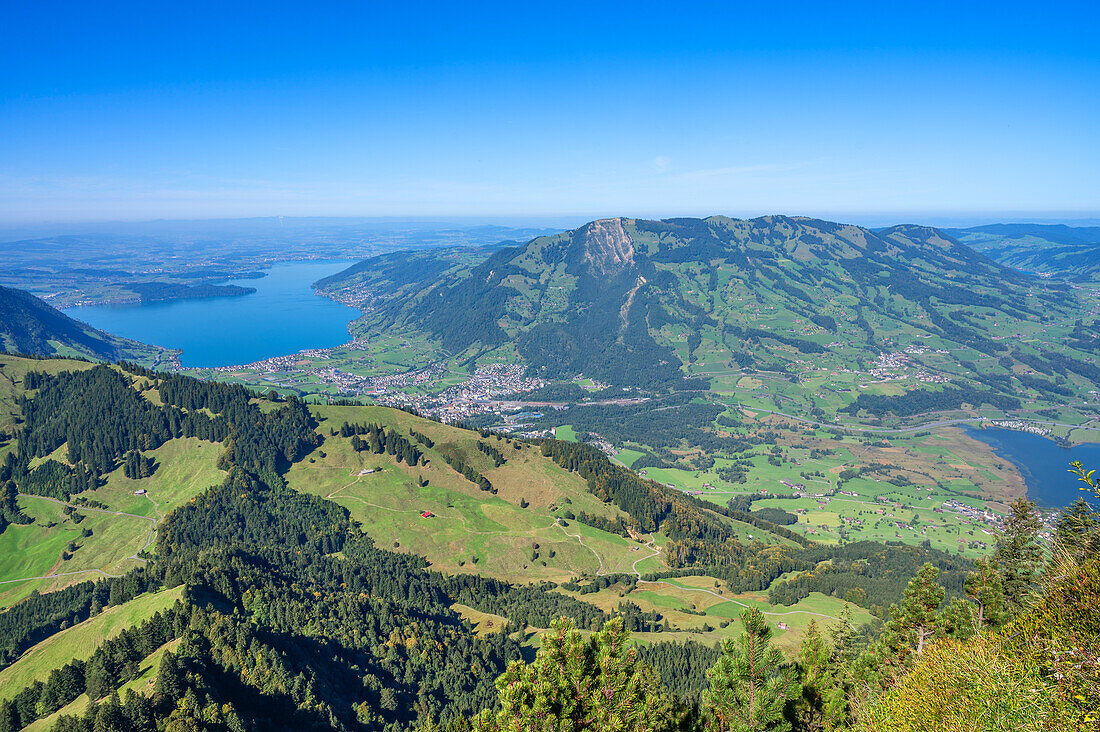 View from the Rigi-Hochflue to the Rossberg with Lake Zug and Lake Lauerzer, Central Swiss Prealps, Schwyz, Brunnen, Alps, Switzerland