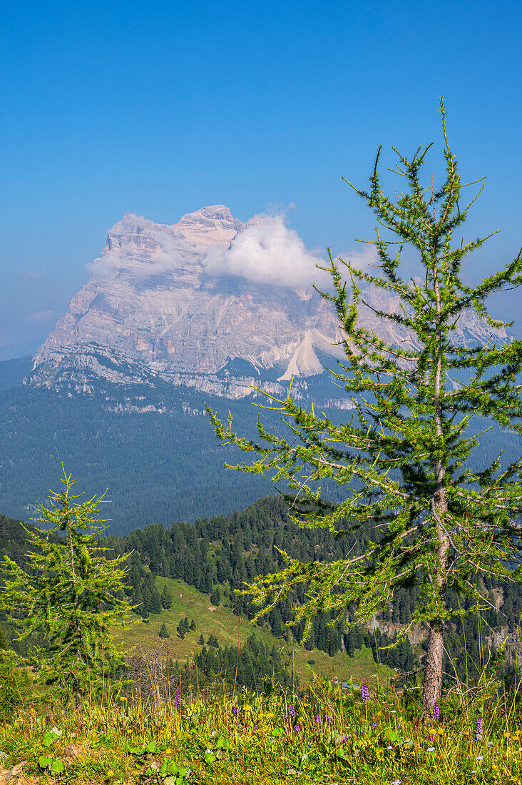 View from Monte Rite to Monte Pelmo, Belluno Province, Alto Adige, South Tyrol, Alps, Dolomites, Veneto, Veneto, Italy