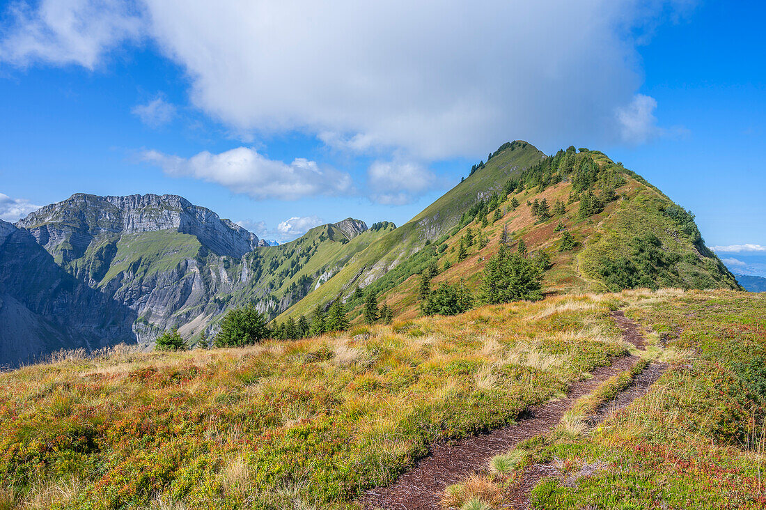 Ascent to Tierberg with Bockmattli and Schiberg, Oberseegruppe, Glarus Alps, Glarus, Switzerland