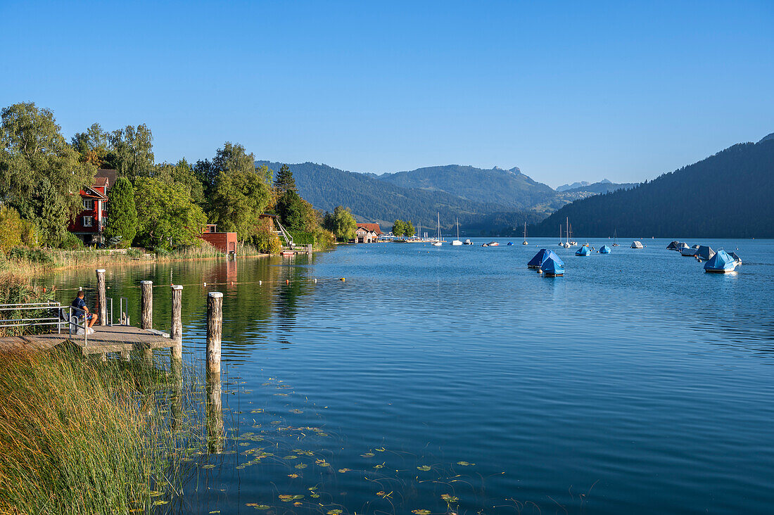 Herbstidylle am Ufer und Boote am Zuger See, Kanton Zug, Zentralschweiz, Schweiz