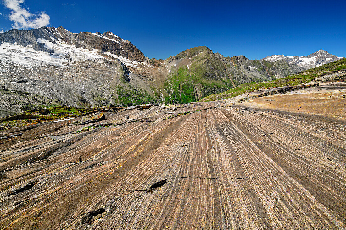 Rock slab with banded rock and Hochfeiler and Hochferner in the background, Schönbichler Horn, Zillertal Alps Nature Park, Zillertal Alps, Tyrol, Austria