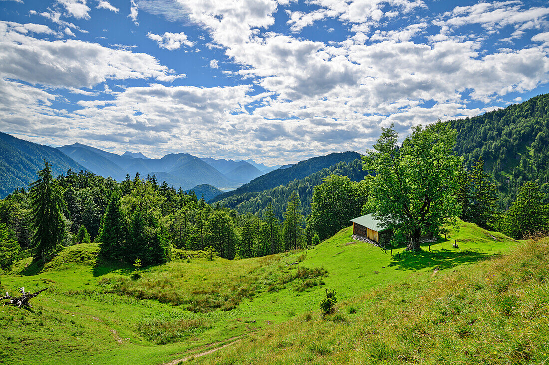 Alpine pasture with alpine buildings and cloud atmosphere, Hölleialm, Achenpass, Bavarian Alps, Upper Bavaria, Bavaria, Germany