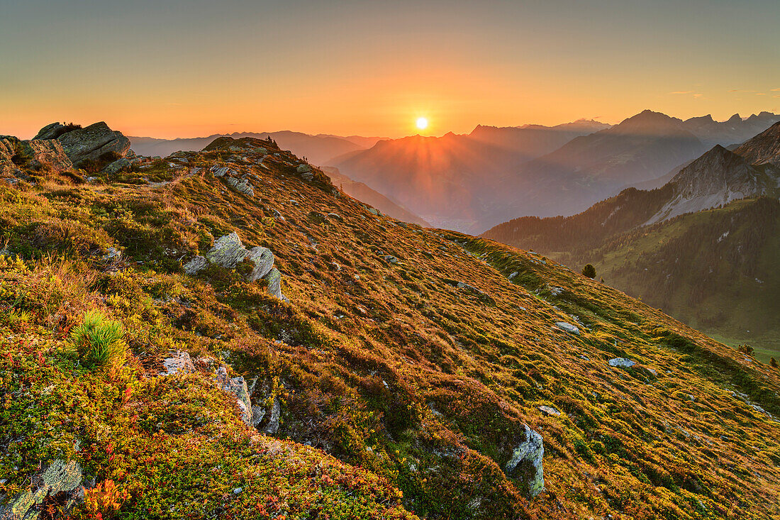 Sunrise over the Zillertal Alps, from Tettensjoch, Tux Valley, Zillertal Alps, Tyrol, Austria