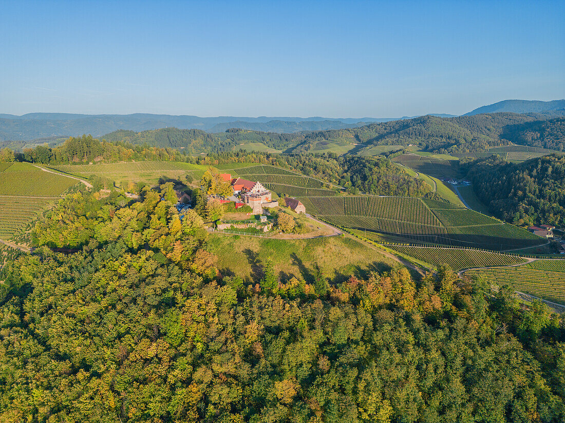 Luftansicht des Schlosses Staufenberg, Durbach, Schwarzwald, Ortenau, Baden-Württemberg, Deutschland