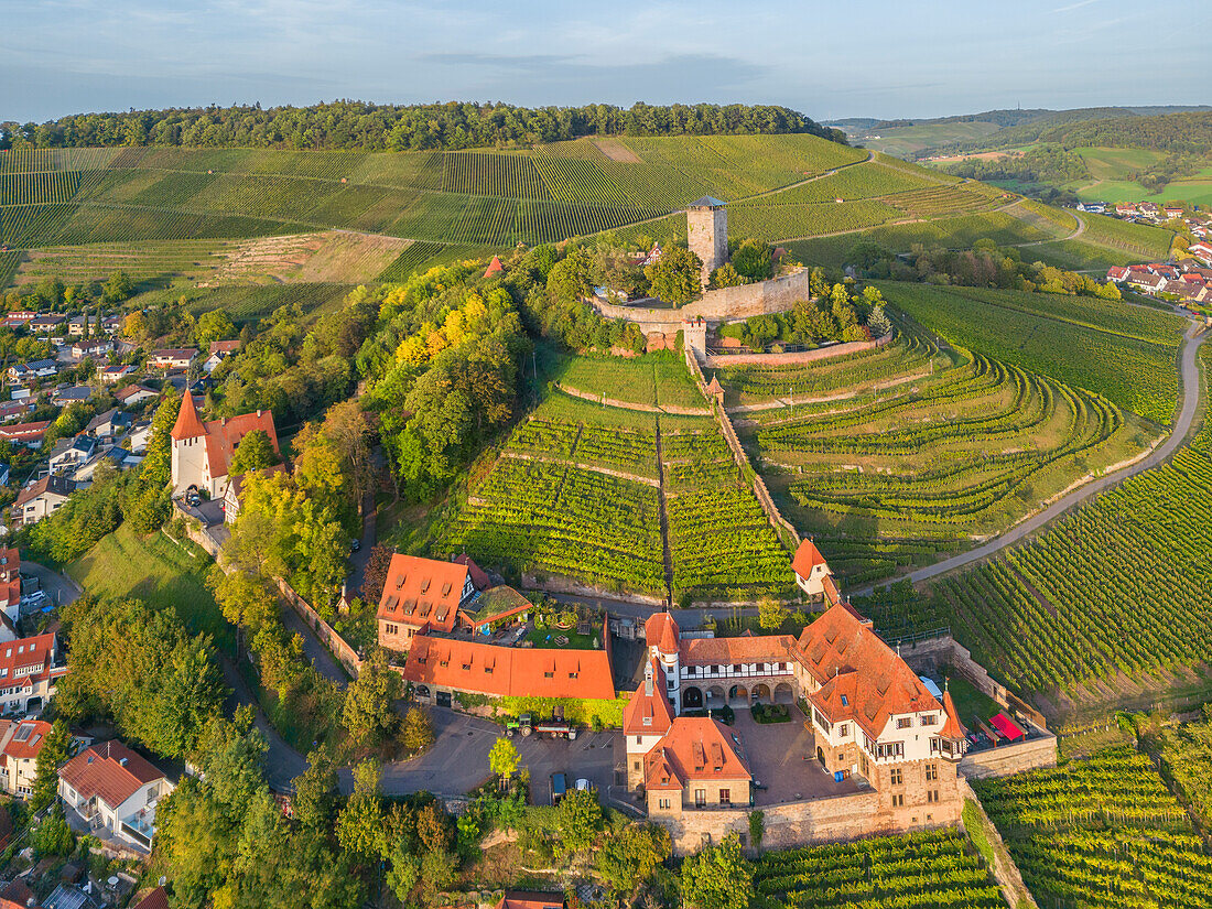  Aerial view of the Burgfalknerei Hohenbeilstein in the evening, Beilstein, Neckar, Neckartal, Württembergische Weinstrasse, Baden-Württemberg, Germany 