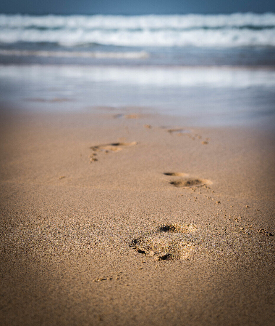 Spuren im Sand am Strand, Fuerteventuras Südwestküste, Fuerteventura, Spanien