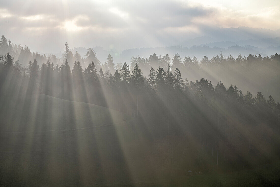 Sonnenstrahlen über Wald, Morgenstimmung im Emmental, Kanton Bern, Schweiz