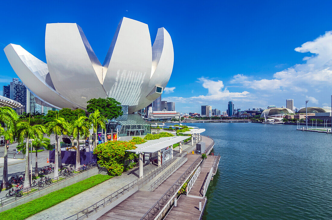 Blick auf  die Lotusblüte des Art-Science Museums im  SkyPark, Marina Bay, am Fluss Singapore River, Halbinsel Marina South, Singapur, Asien