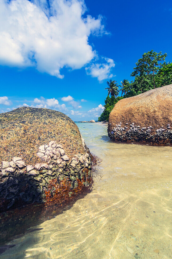 Felsen am Strand auf einer Insel in der Nähe von Bintan, Riau-Archipel, Indonesien, Südostasien