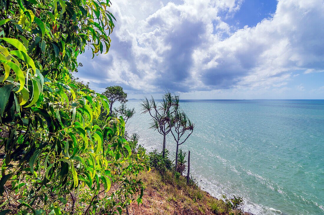  View of Four Mile Beach and surrounding areas, Port Douglas, Queensland, Australia 