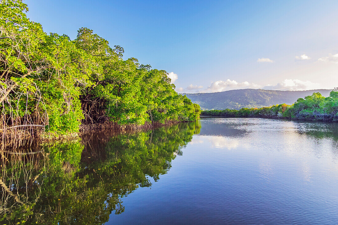 Mangrovenlandschaft am Packers Creek, Port Douglas, Queensland, Australien