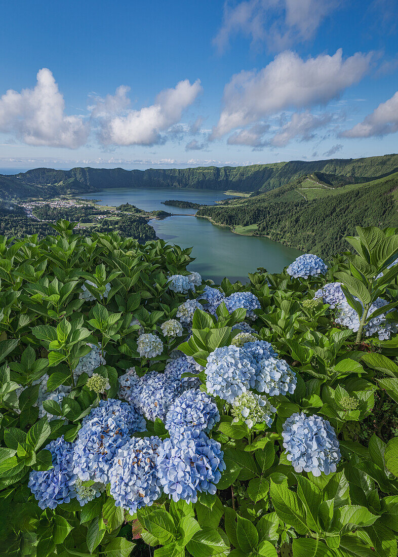 Ausblick vom Miradouro da Vista do Rei auf die Kraterseen Lagoa Azul und Lagoa Verde mit Hortensien im Vordergrund auf Azoren Insel Sao Miguel