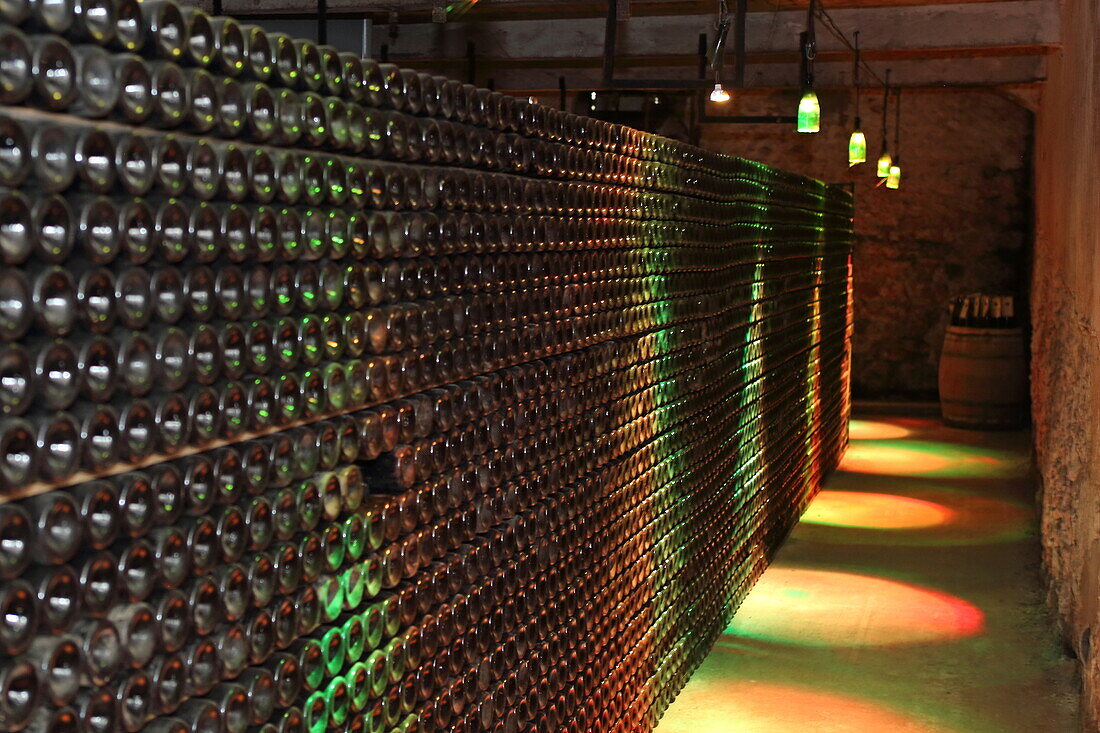Keller der Weinkellerei Maison Guinot mit Weinregal des Sekts 'Blanquette de Limoux',  Limoux, Nähe Carcassonne, Département Aude, Okzitanien, Frankreich