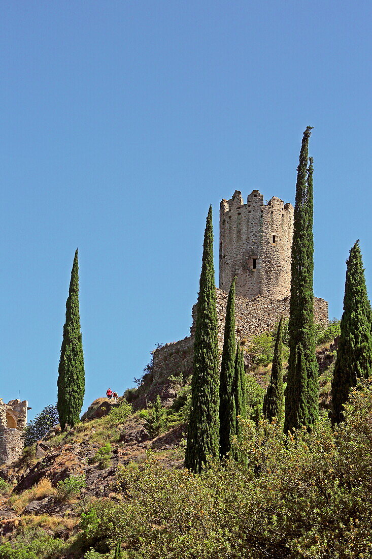 Burg Chateau de Cabaret mit dem Turm Tour Regine, Lastours, Montagne Noire, Nähe Carcassonne, Département Aude, Okzitanien, Frankreich