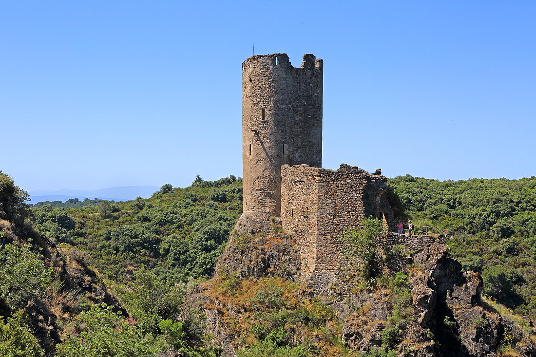 Turm Tour Regine, Burg Chateau de Cabaret, Lastours, Montagne Noire, Nähe Carcassonne, Département Aude, Okzitanien, Frankreich