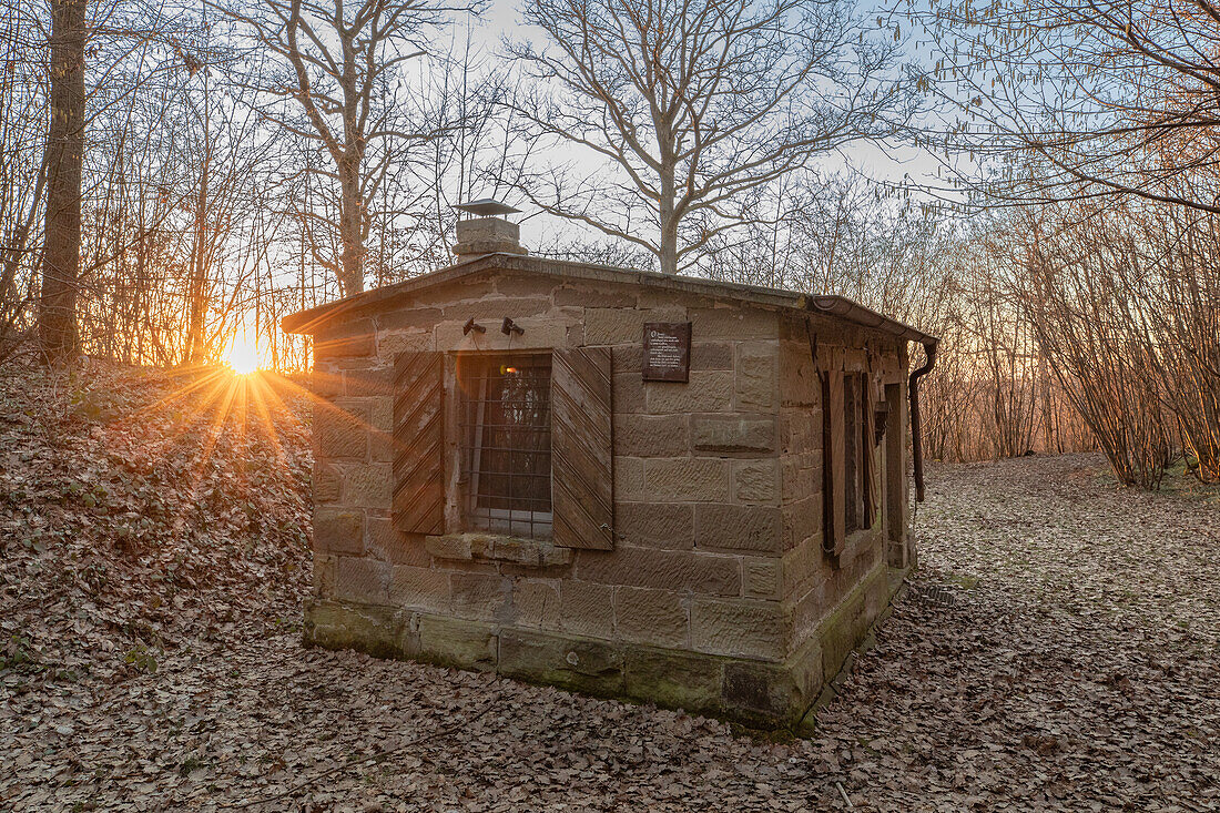  Sunset in the forest, Ergersheim, Neustadt an der Aisch, Lower Franconia, Franconia, Bavaria, Germany, Europe 