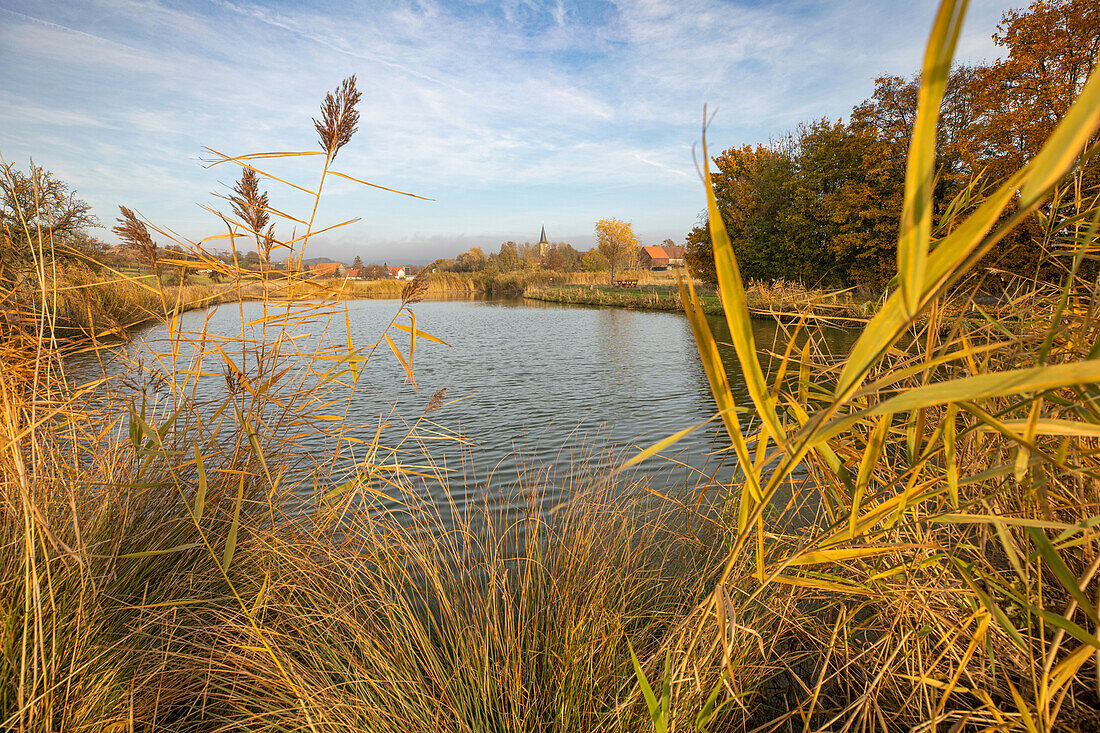 Badeweiher bei Reusch, Weigenheim, Neustadt an der Aisch, Unterfranken, Franken, Bayern, Deutschland, Europa