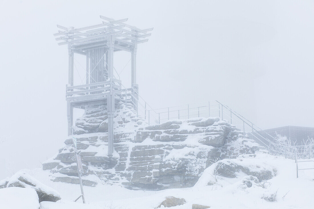 Nebelstimmung am Backöfele, Schneeberg, Bischofsgrün, Fichtelgebirge, Oberfranken, Franken, Bayern, Deutschland, Europa