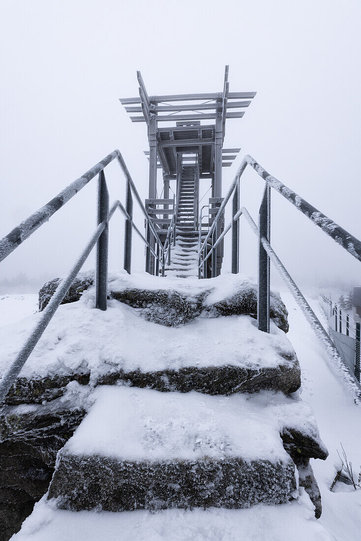 Winter am Schneeberg, Bischofsgrün, Fichtelgebirge, Oberfranken, Franken, Bayern, Deutschland, Europa