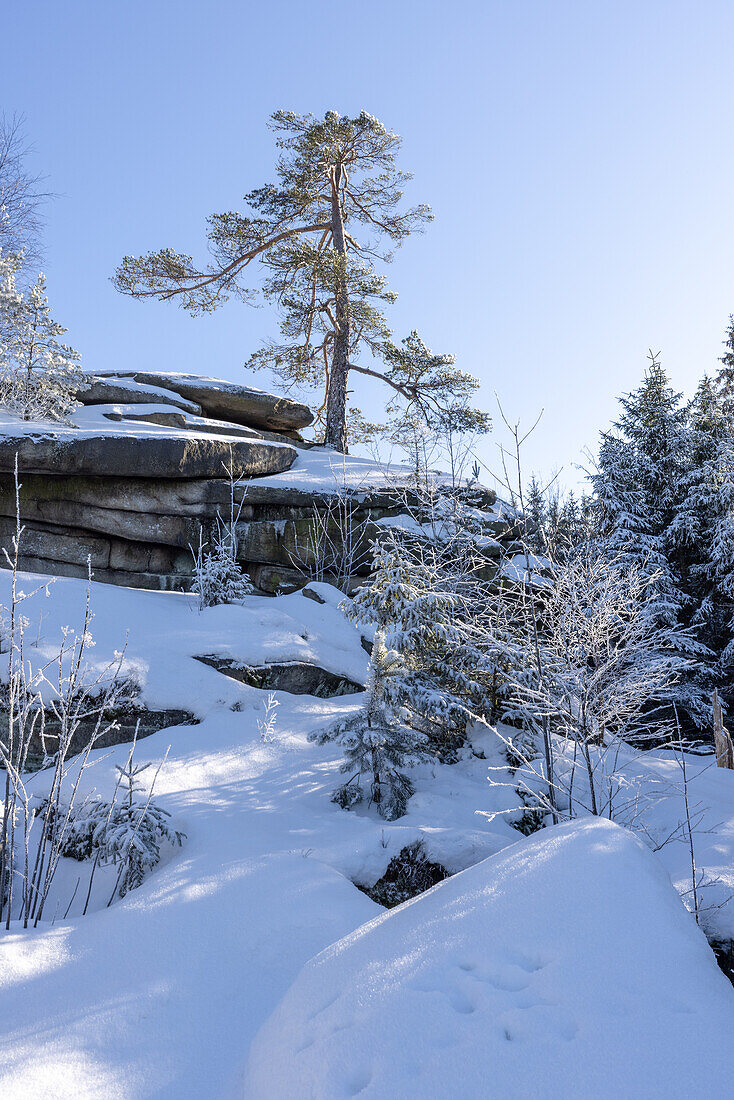 Der Burgstein im Fichtelgebirge im Winter, Luisenburg, Bad Alexanderbad, Wunsiedel, Oberfranken, Franken, Bayern, Deutschland, Europa