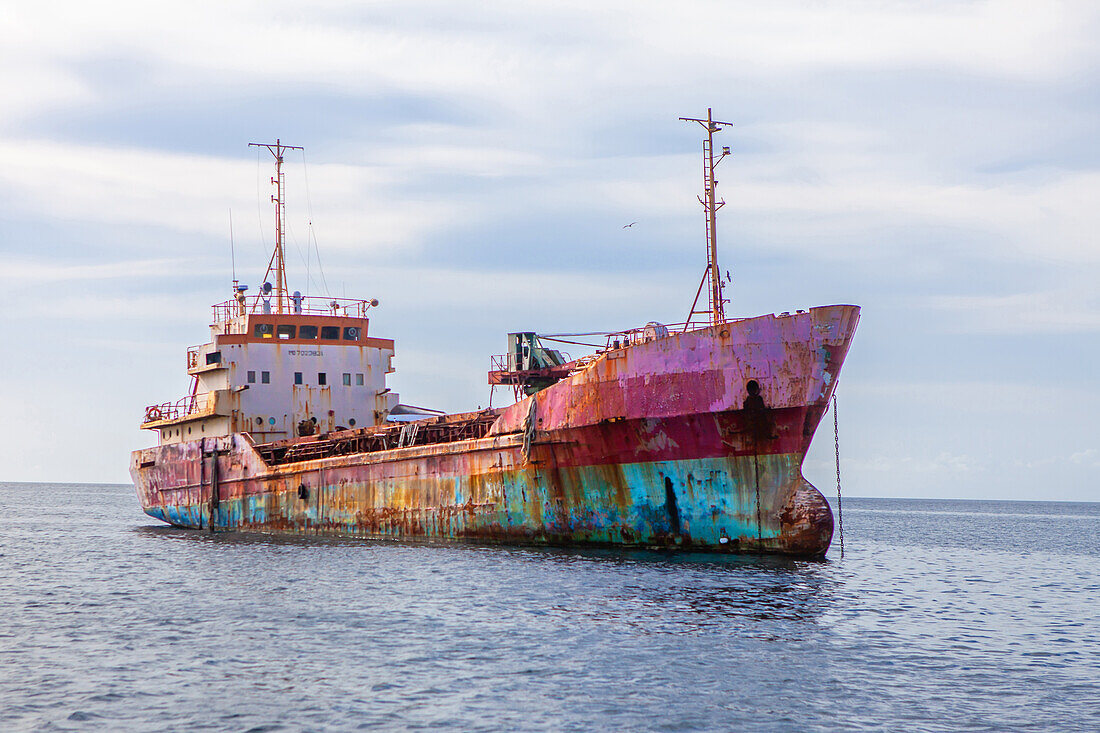 Schiffswrack, gestrandet vor St. George's, Grenada, Karibik